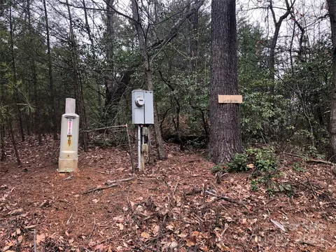 Wolf Pen 24 Road #24, Purlear, NC 28665 photo 5