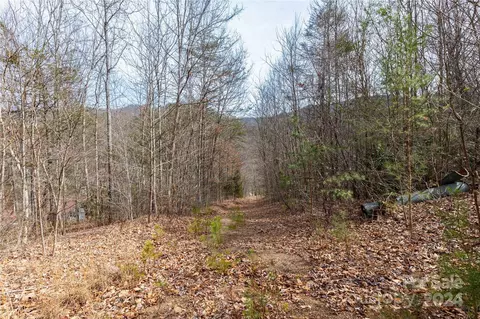 48 Houdini Trl, Canton, NC 28716 photo 7