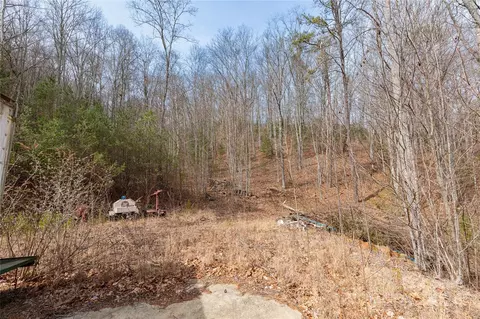 48 Houdini Trl, Canton, NC 28716 photo 6