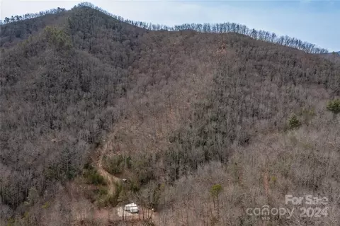 48 Houdini Trl, Canton, NC 28716 photo 12