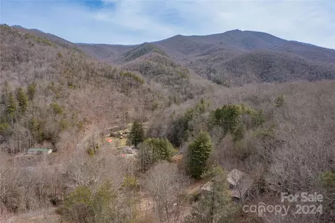 48 Houdini Trl, Canton, NC 28716 photo 11