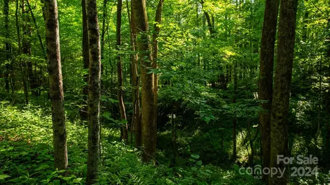572 Deer Run 18 Rd #18, Black Mountain, NC 28711