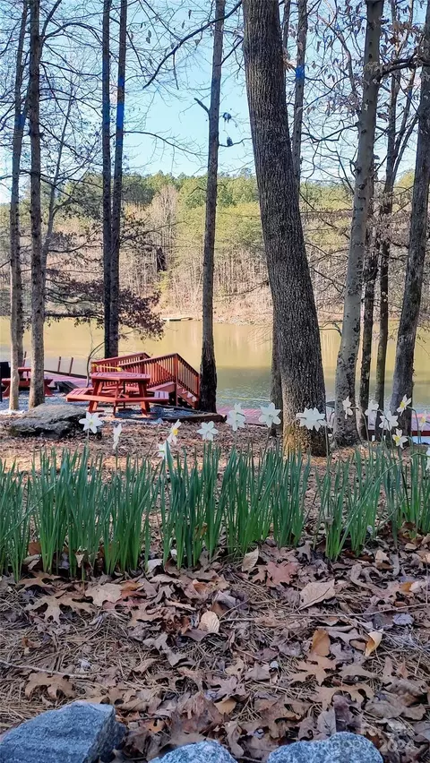 00 Double Eagle 14 Dr #14, Nebo, NC 28761