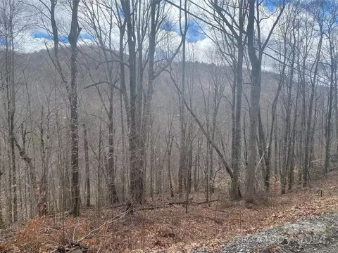 Fox Den Road, Mars Hill, NC 28754