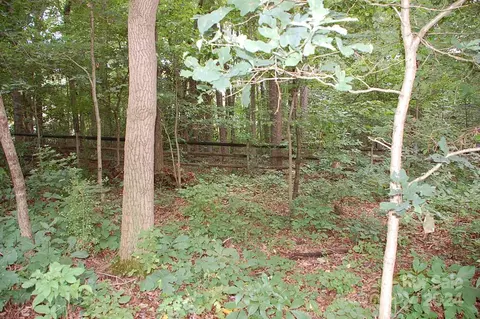 Exterior - 113 Smith St, Locust, NC 28097 photo 5 of 7