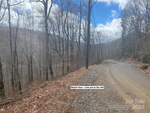 Fox Den Road, Mars Hill, NC 28754