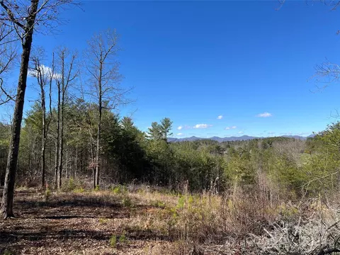99999 Elkins Branch Rd, Weaverville, NC 28787
