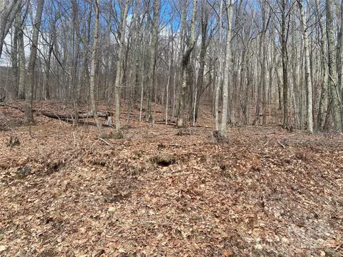Hamlin Lane, Mars Hill, NC 28754