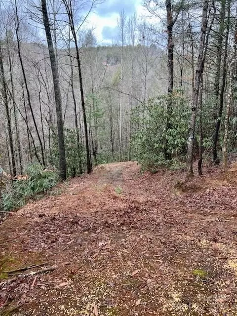 Sampson Road, Lenoir, NC 28645