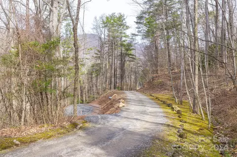 99999 Shope Creek Estates 16 Dr #16, Asheville, NC 28805