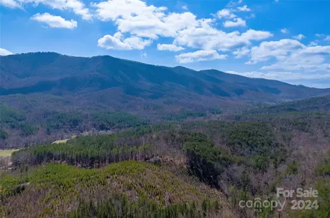 Holbert Cove Road, Mill Spring, NC 28756