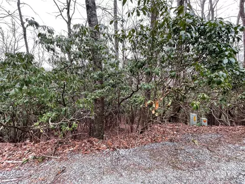 Elseetos Drive, Brevard, NC 28712 photo 2