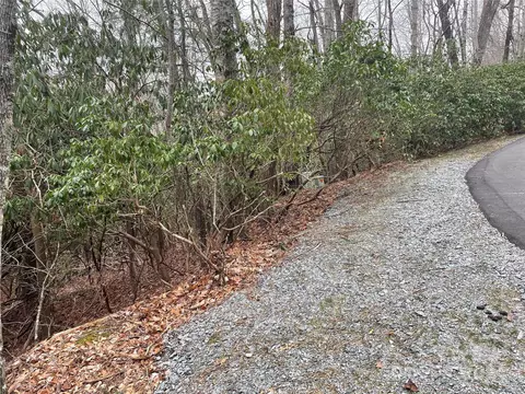 Elseetos Drive, Brevard, NC 28712 photo 5