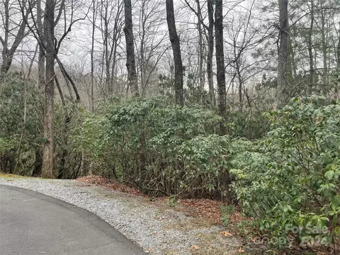 Elseetos Drive, Brevard, NC 28712 photo 7