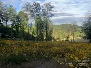 106 Silver Fox Cv, Asheville, NC 28805