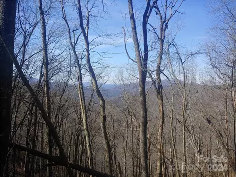 34 Barn Cove Rd, Clyde, NC 28721