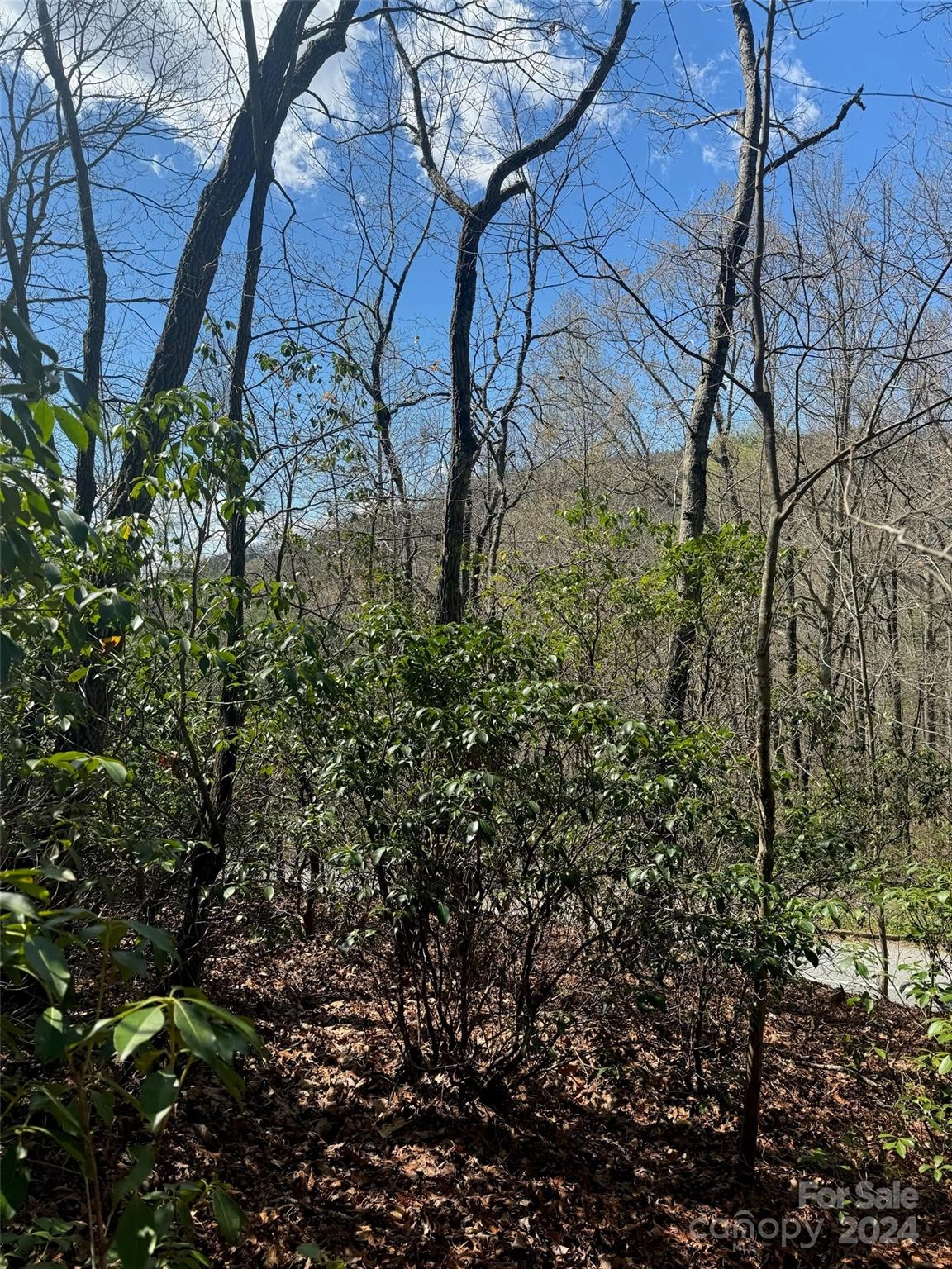 23 Red Oak Dr  