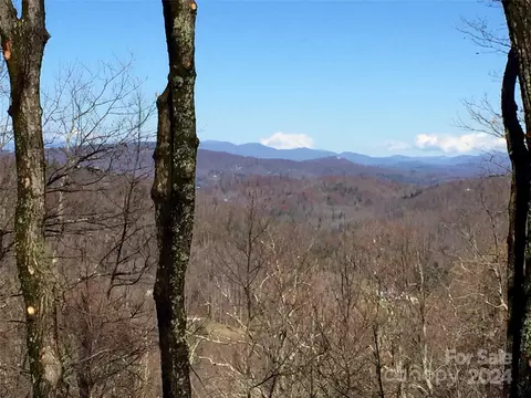 18 Panther Mountain Road #18, Zirconia, NC 28790