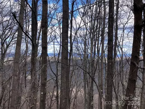Bobcat Mountain 21 Road #21, Purlear, NC 28665