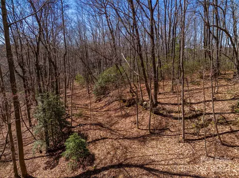 View/Area - 1150 Mountain Lakes Dr, Tryon, NC 28782 photo 5 of 7