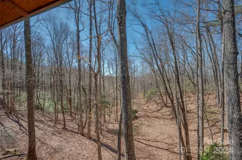 View/Area - 1150 Mountain Lakes Dr, Tryon, NC 28782 photo 4 of 7