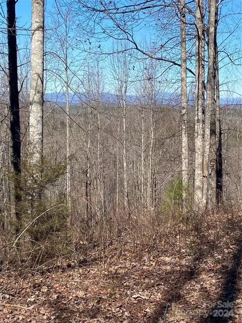 Mentinck Drive, Nebo, NC 28761