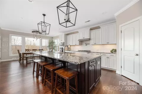 271 Walking Horse Trl, Davidson, NC 28036