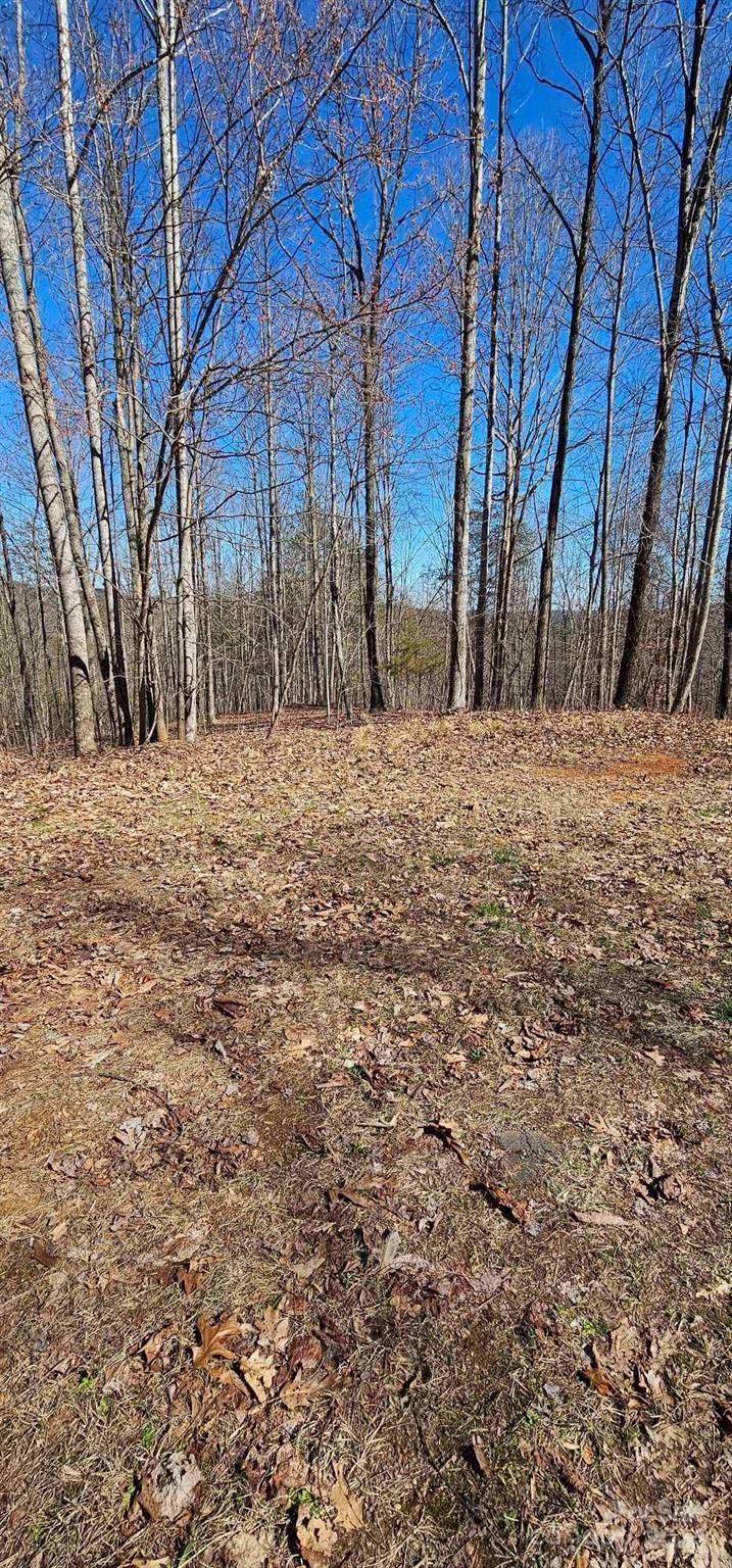 0 Luckadoo Mountain 171 Rd Unit 171  