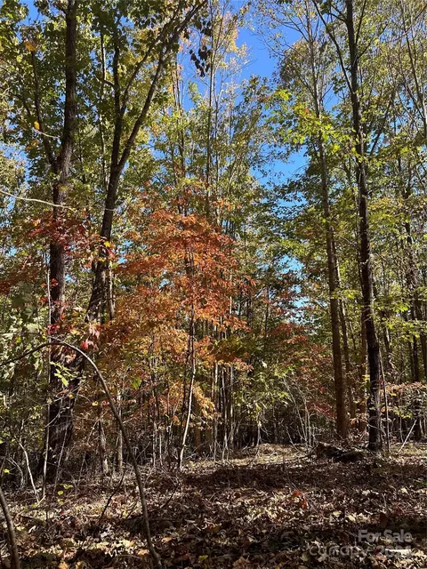 0 Luckadoo Mountain 171 Rd #171, Bostic, NC 28018