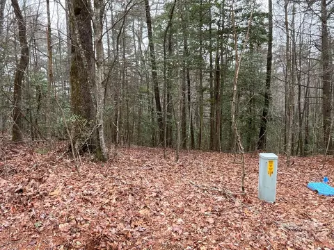 9999 Upper Whitewater 122 Rd #122, Sapphire, NC 28774