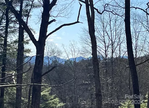 191 Elk Mountain Scenic Hwy, Asheville, NC 28804
