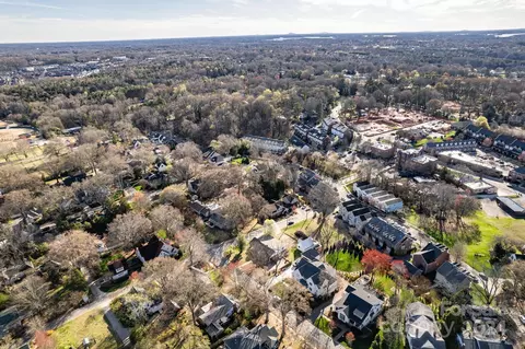 View/Area - 318 Walnut St, Davidson, NC 28036 photo 5 of 13