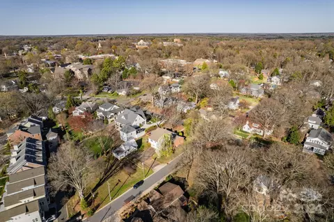 View/Area - 318 Walnut St, Davidson, NC 28036 photo 9 of 13