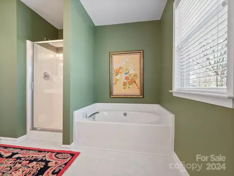 Bath - 10014 Switchyard Dr, Cornelius, NC 28031 photo 3 of 4