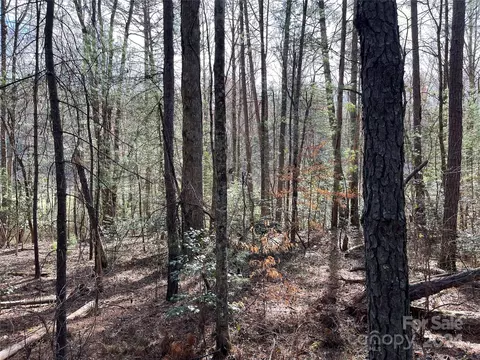 Kemp Road, Pisgah Forest, NC 28768