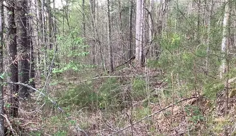 Settlers 16&17 Trail #16&17, Mars Hill, NC 28754