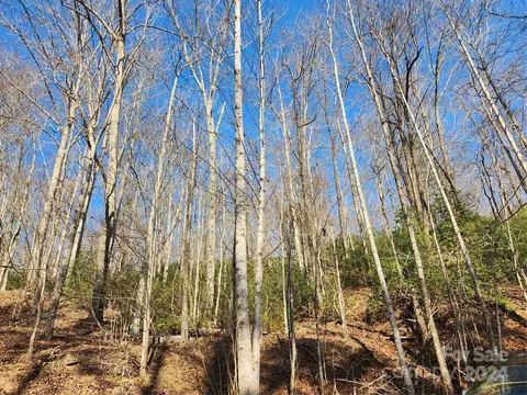Chilly Creek Lane, Lake Lure, NC 28746