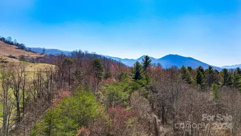 112 Arthurs Pl, Canton, NC 28716 photo 15