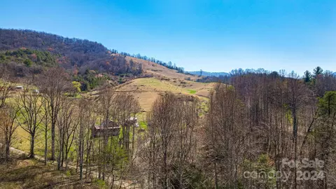 112 Arthurs Pl, Canton, NC 28716 photo 8