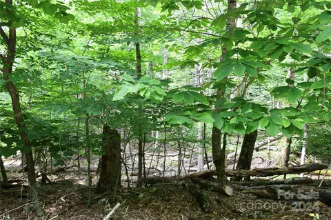 102 Blackberry 235c Trl #235/C, Beech Mountain, NC 28604