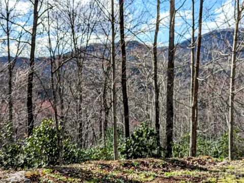 0 Dodgen Ridge Rd, Tuckasegee, NC 28783