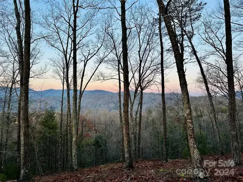 75 Raccoon 22 Run #22, Marshall, NC 28753