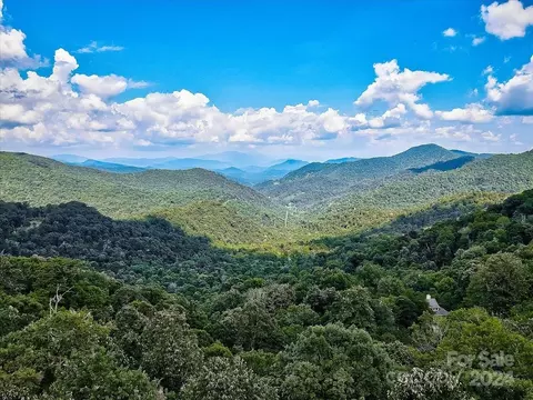 68 Running Cedar 68 69 91 Ln #68, 69, 91, Mars Hill, NC 28754