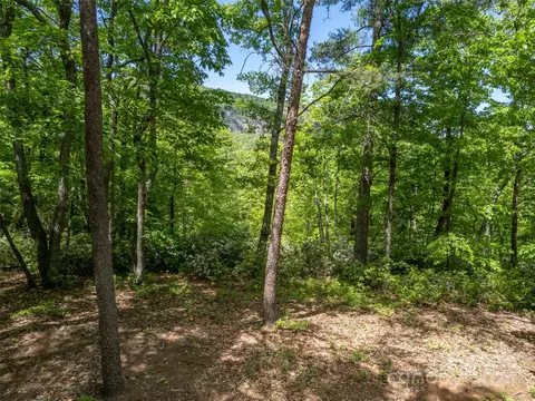 10 Garden Ln, Lake Lure, NC 28746