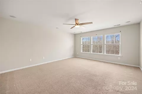 10706 Sapphire Trl, Davidson, NC 28036 photo 18