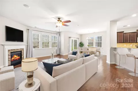 10706 Sapphire Trl, Davidson, NC 28036 photo 5