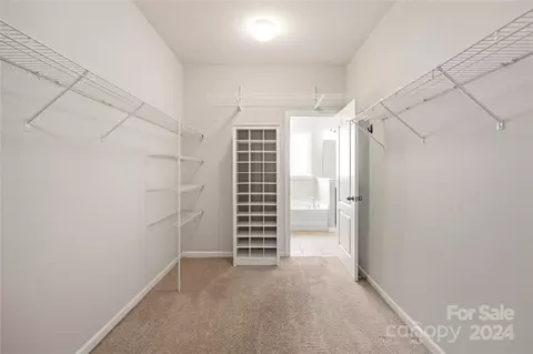 10706 Sapphire Trl, Davidson, NC 28036 photo 16
