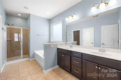 10706 Sapphire Trl, Davidson, NC 28036 photo 15