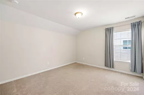 10706 Sapphire Trl, Davidson, NC 28036 photo 22