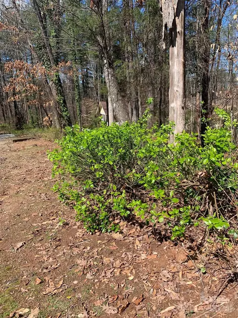 8 Th Se Ave SE, Conover, NC 28613 photo 3